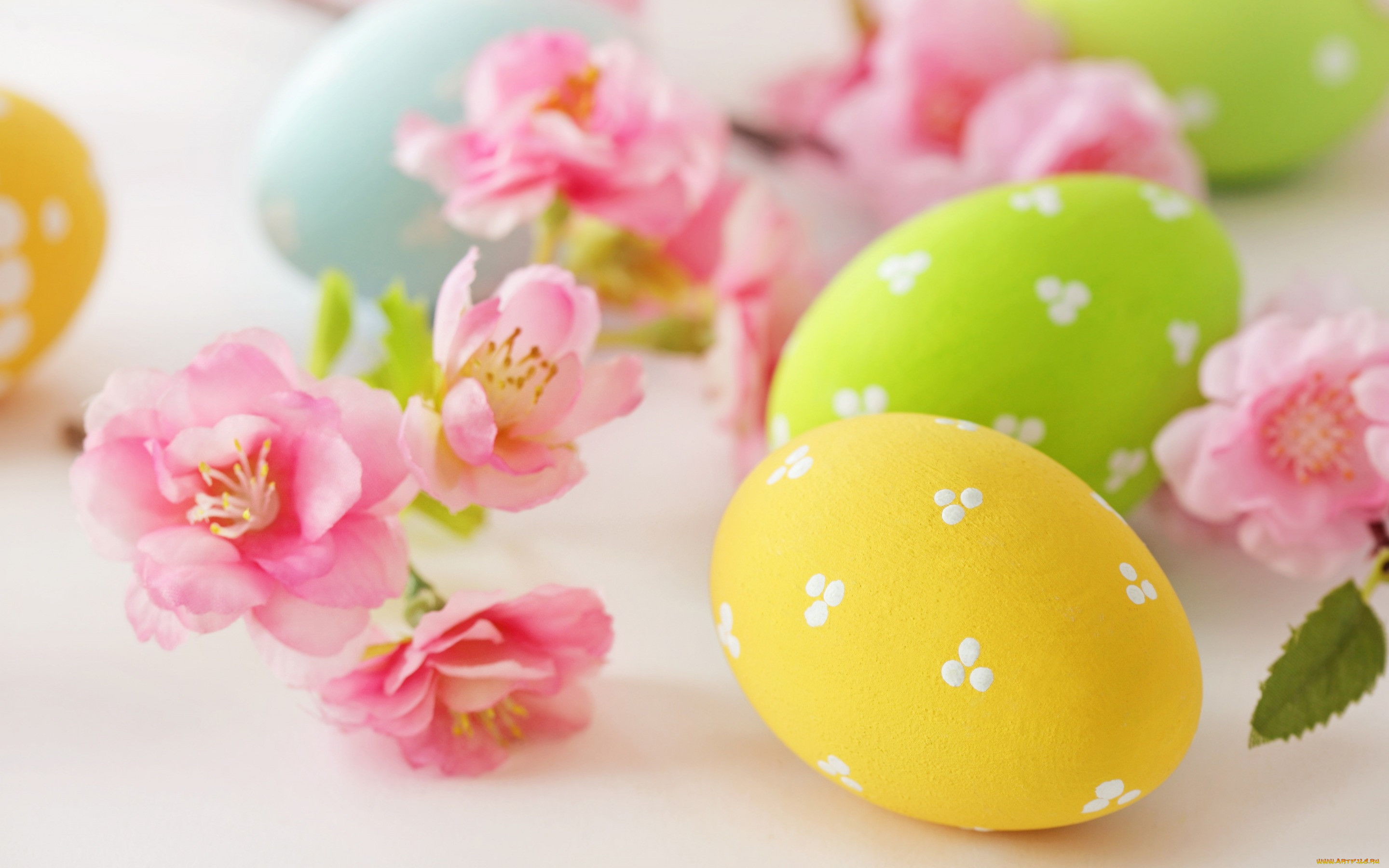 , , flowers, eggs, easter, , , delicate